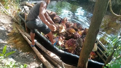 Working Stock Footage 213122479