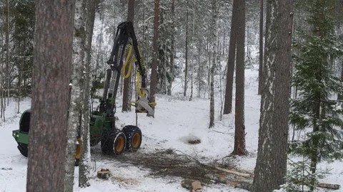 Working forwarder inside the forest in winter Stock Footage 70706174