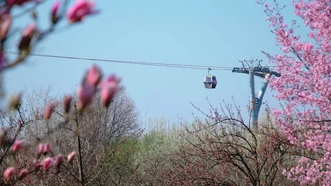 Working funicular over the Park . Stock Footage 106708259