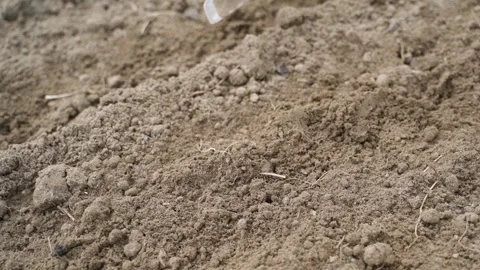 Working a garden bed with a hand hoe close-up. Loosening soil in slow motion Stock-Footage 342913087