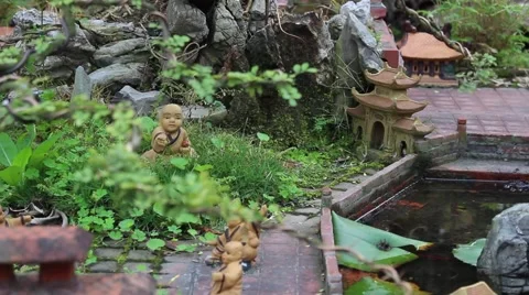 Working in the garden, bonsai Stock Footage 46458828