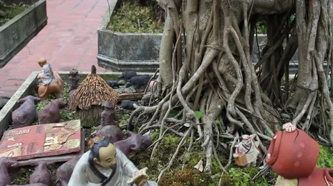 Working in the garden, bonsai Stock Footage 46458971