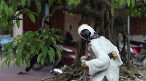 Working in the garden, bonsai Stock Footage 46459798