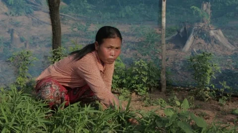 Working in Garden in Cambodia: Stock Footage 40071491