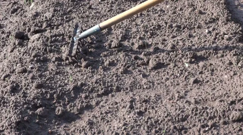 Working in garden flower bed with rake tool Stock Footage 38456205