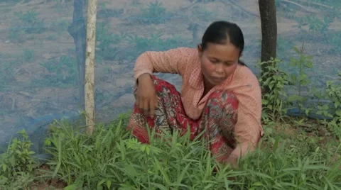 Working in Garden Stock Footage 40071401