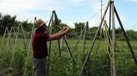 Working in the garden Stock Footage 64501272