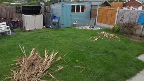 Working in the Garden Stock Footage 94913663