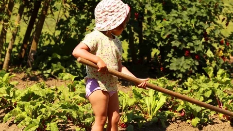 Working in the garden Stock Footage 101066805