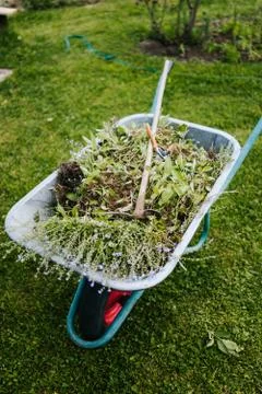 Working in garden Stock Photos