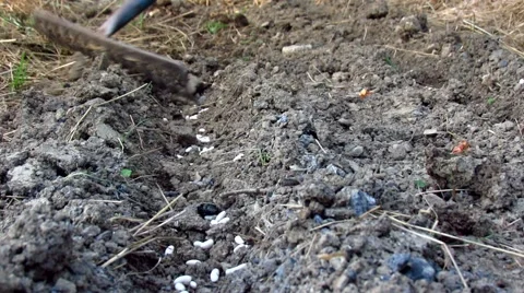 Working in garden with rake Stock Footage 50426076