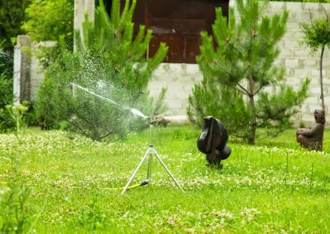 Working garden sprinkler. Stock Photos