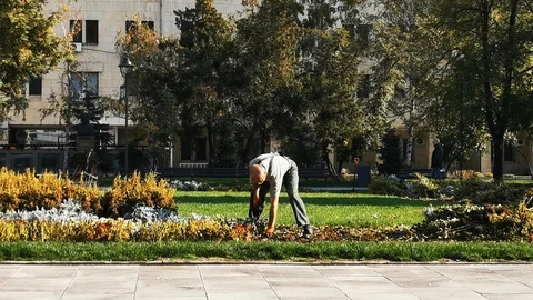 Working gardener in park Stock Footage 118290060