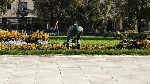 Working gardener in park Stock Footage 118290157