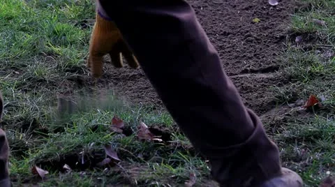 Working on Grass Stock Footage 19655766