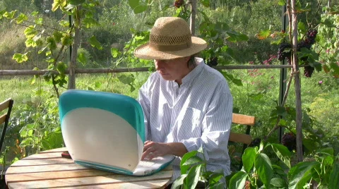 Working  in a greenhouse Stock Footage 519176