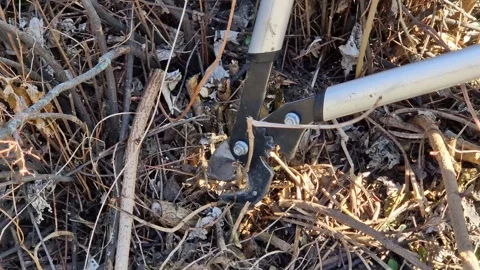 Working with a hand garden tool in the park Stock Footage 331202586