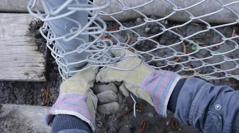 Working hands in gloves pull the metal mesh of the fence Fotos de archivo