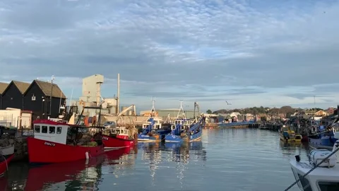 Working Harbour in a UK Coastal town. Whitstable Kent  Stock Footage