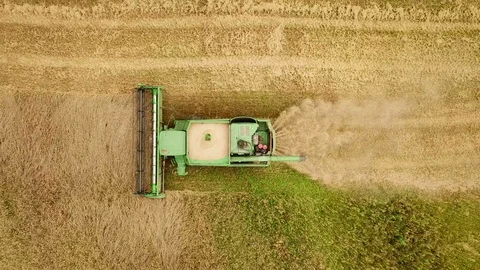 Working harvester in the field. Top-down view. Aerial. Video stock 95606204