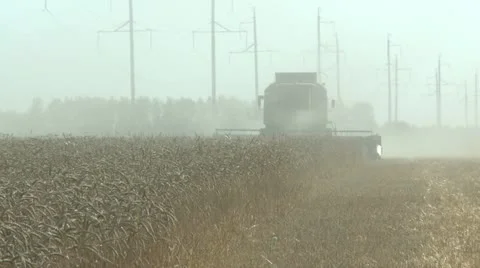 Working harvesting combine in the dust field Stock Footage 11426853