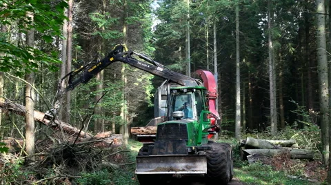Working with Heavy forestry machinery Stock Footage 42670843
