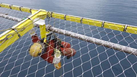 Working At Height Via Abseiling. Video stock 157107663