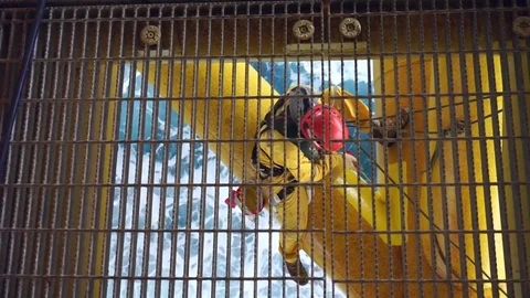 Working at height and overboard using abseiling technique. Video stock 83606402
