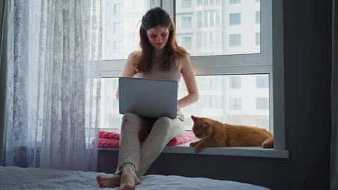 Working from home with a cat by the window during a sunny day Видео 307128056