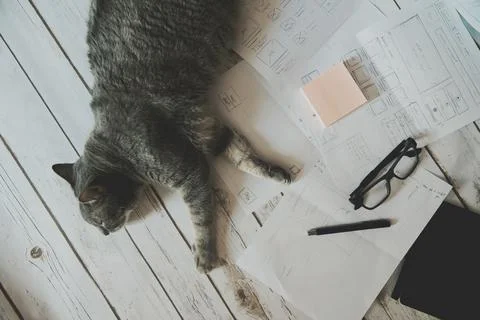 Working home concept - cat lying on the floor Foto stock
