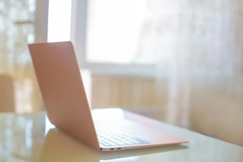 Working from home concept. Copyspace Stock Photos