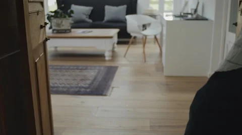 Working from home man Stock Footage 55654518