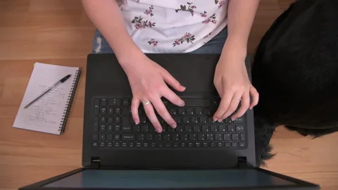 Working From Home Next to Dog Stock Footage 138172485