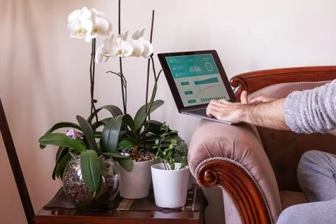 Working as home office Stock Photos