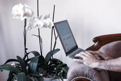 Working as home office Stock Photos