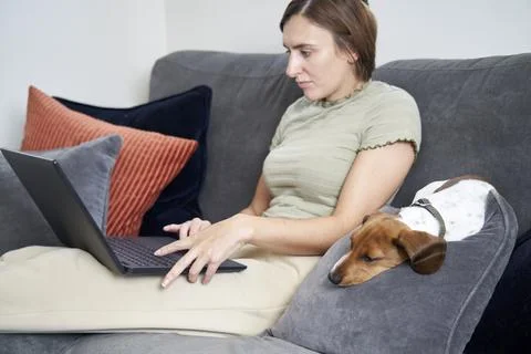 Working at Home with pet Stock Photos