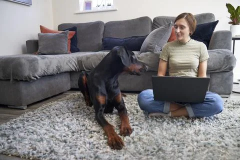 Working at Home with pet Stock Photos