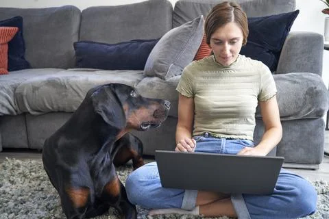 Working at Home with pet Stock Photos
