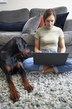 Working at Home with pet Stock Photos