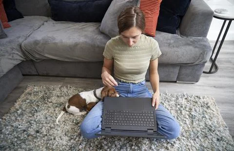 Working at Home with pet Stock Photos