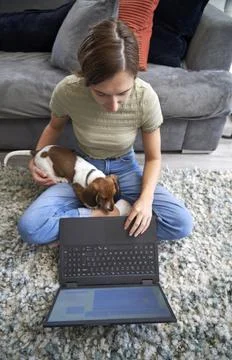 Working at Home with pet Stock Photos