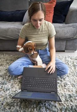 Working at Home with pet Stock Photos