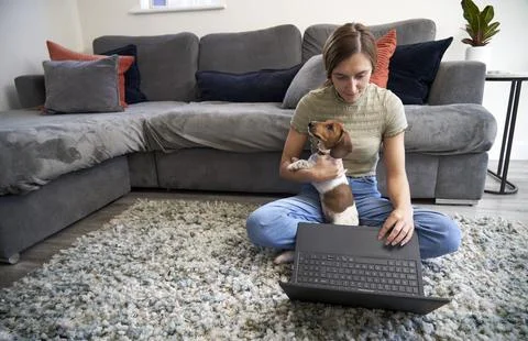 Working at Home with pet Stock Photos