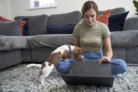 Working at Home with pet Stock Photos
