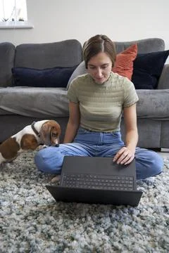 Working at Home with pet Stock Photos