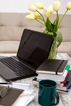 Working at home Stock Photos