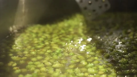 Working with hops Stock Footage 175154751