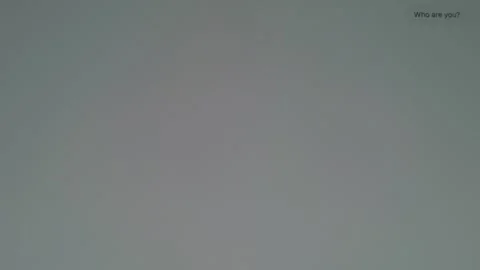 Working with interface of Qwen. Artificial intelligence by Chinese Alibaba Stock Footage 300501511