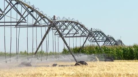 Working irrigation Pivot on grain and  corn crop Video stock 34289195