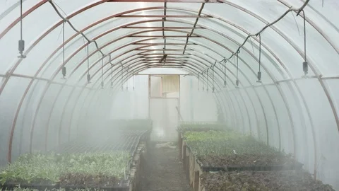 Working irrigation system in a greenhouse in full forse Stock Footage 125637096